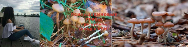 круглые Балахна
