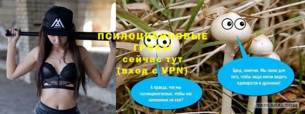 ALPHA-PVP Алексеевка