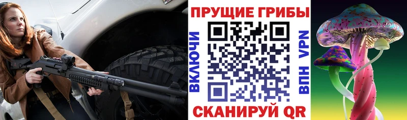 как найти наркотики  Качканар  Псилоцибиновые грибы прущие грибы 
